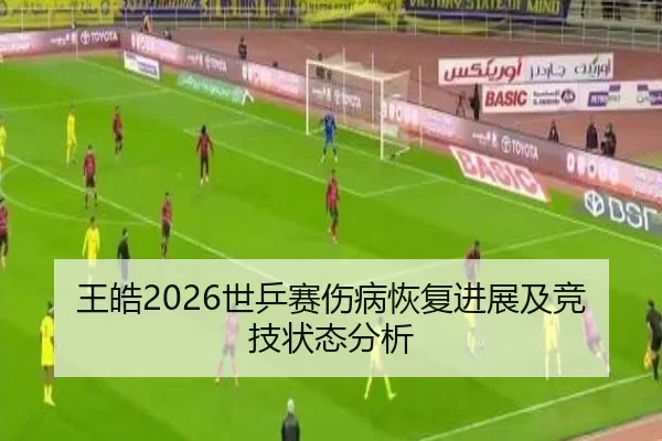 王皓2026世乒赛伤病恢复进展及竞技状态分析