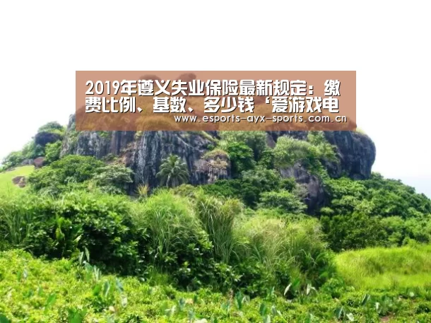 2019年遵义失业保险最新规定：缴费比例、基数、多少钱‘爱游戏电竞’(图2)